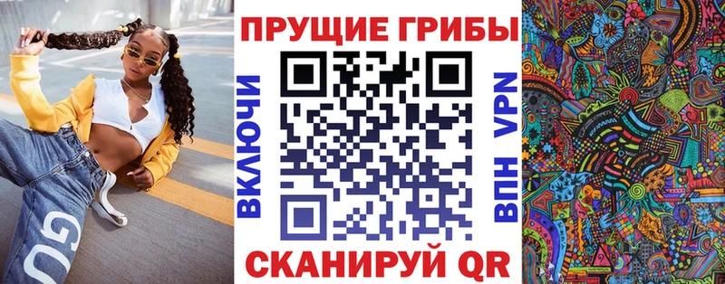 Псилоцибиновые грибы Psilocybe  Буйнакск 