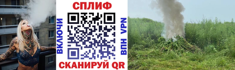 дарнет шоп  Буйнакск  Канабис MAZAR 
